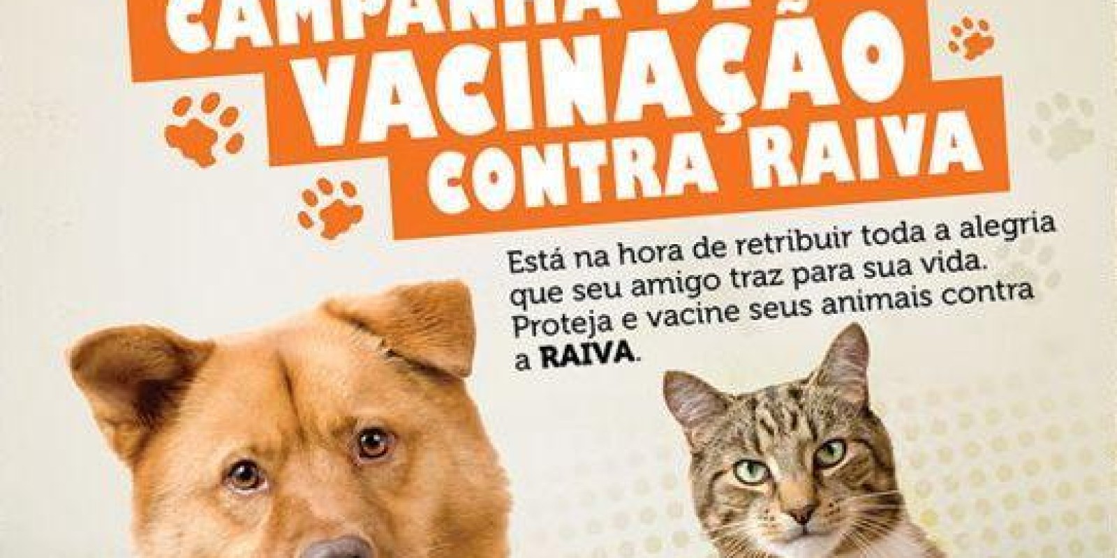 Prefeitura de Junco do Maranhão promove campanha de vacinação antirrábica