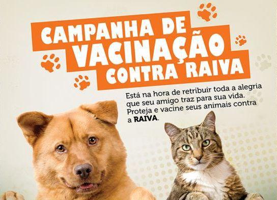 Prefeitura de Junco do Maranhão promove campanha de vacinação antirrábica